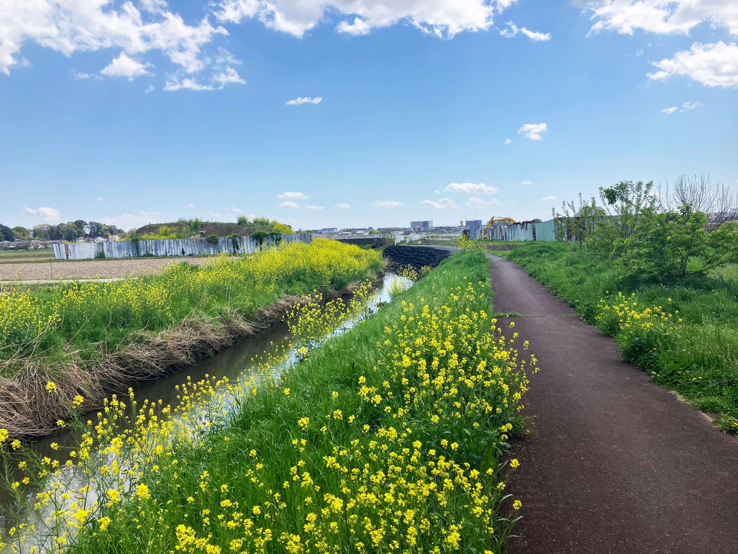 河川改修（水辺）工事（綾瀬川伊奈工区護岸工）