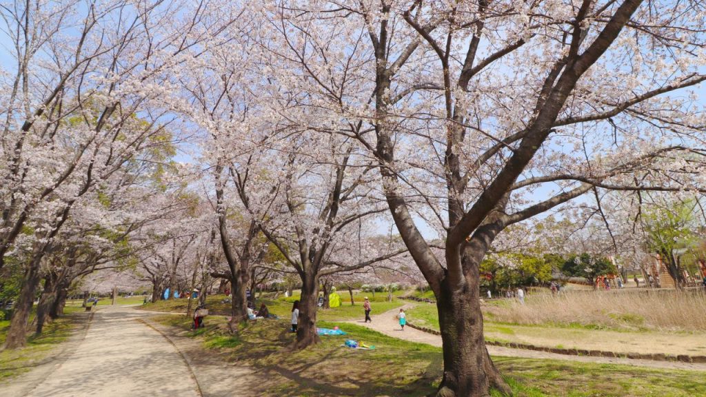 5. 自然に囲まれた落ち着いた住環境