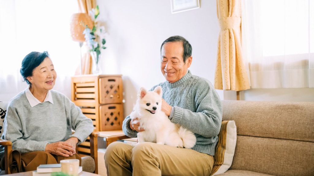 完全分離型|上下階で分けて完全独立型に